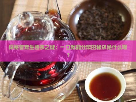 普茸生茶熟茶怎么区分