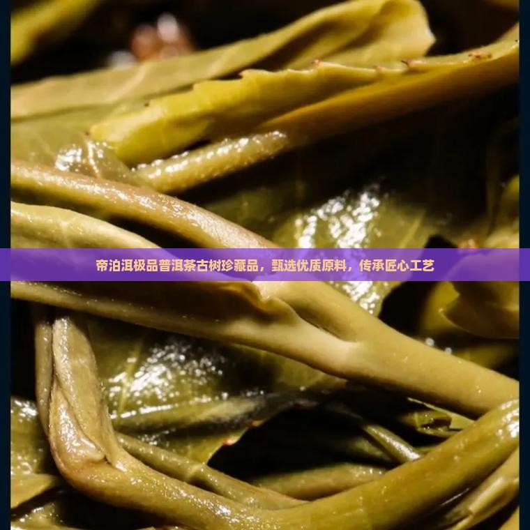 帝泊洱极品普洱茶