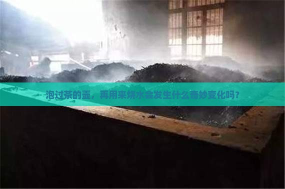 煮过茶的壶可以烧水吗