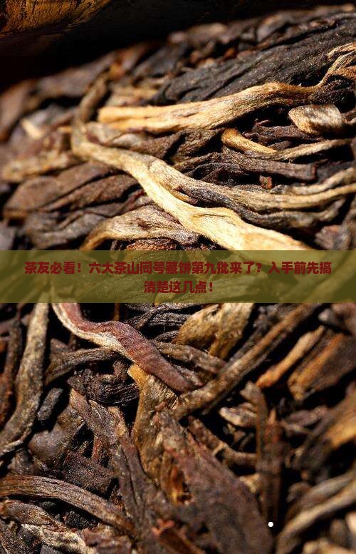六大茶山同号购买藏饼第九批