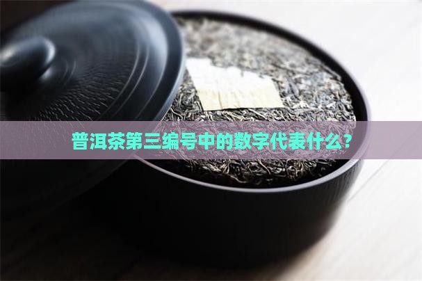 普洱茶第三个编号