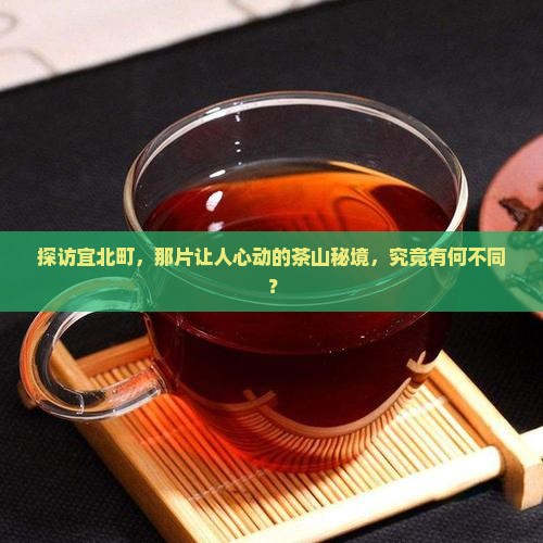 去茶山宜北町区别