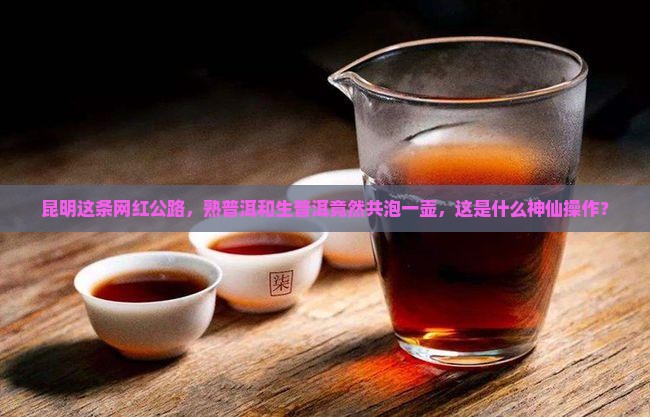 昆明网红公路生熟普洱共用一壶