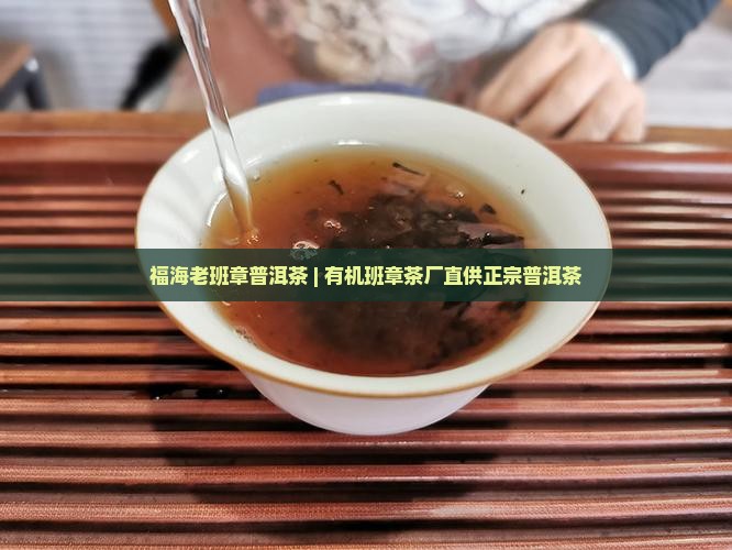 福海老班章普洱茶
