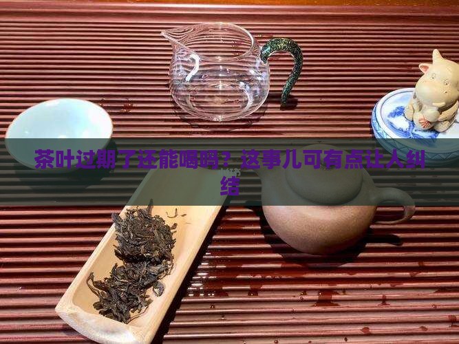茶叶能放过期吗