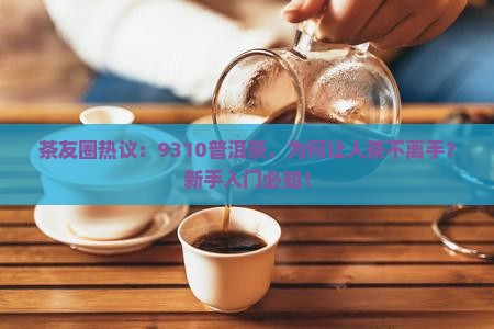 普洱茶唛号9310