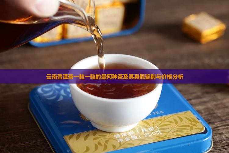 云南普洱茶一粒一粒的