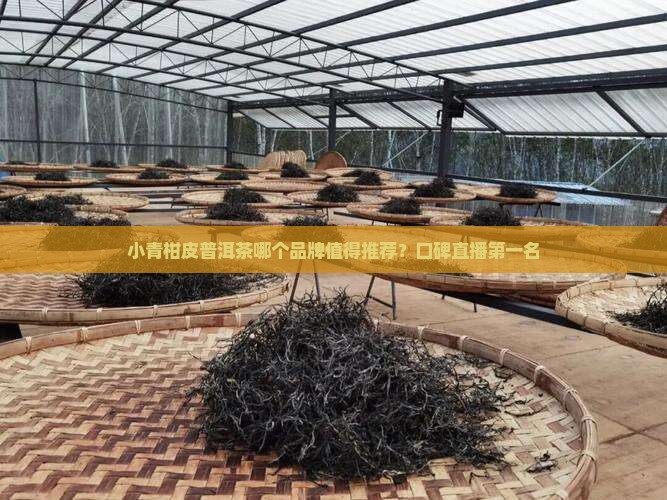 小青柑皮普洱茶直播第一名