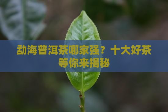 勐海普洱茶排名十大