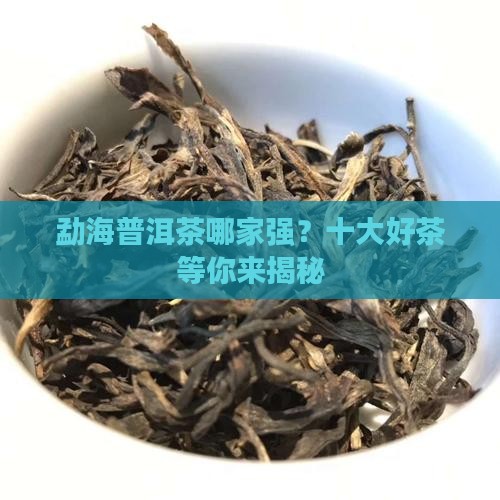 勐海普洱茶排名十大