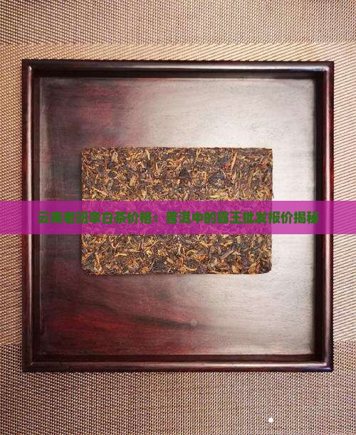 老班章白茶价格