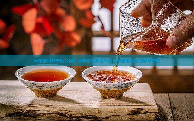云南普洱茶宁湖公园 云南普洱茶宁湖公园
