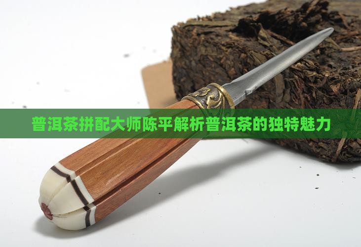 普洱茶拼配大师陈平