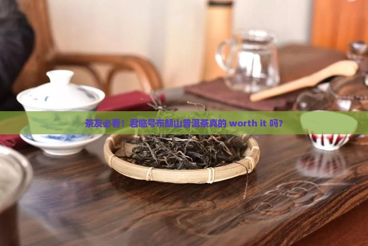 君临号布朗山普洱茶