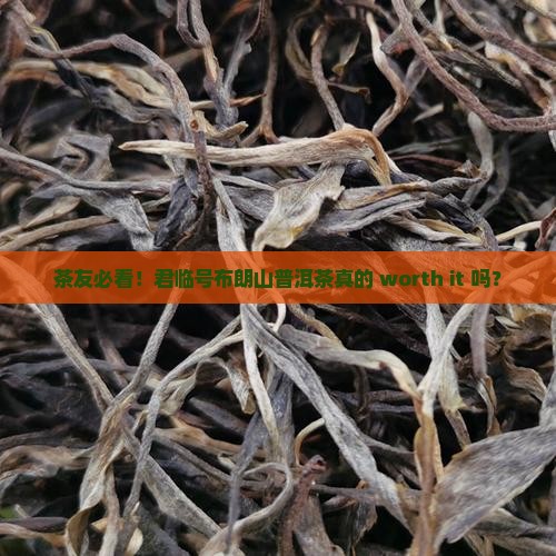 君临号布朗山普洱茶