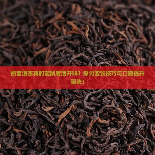 熟普洱茶可以泡开么