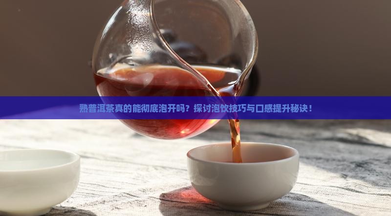 熟普洱茶可以泡开么