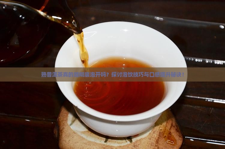 熟普洱茶可以泡开么