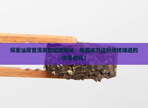 汕尾普洱茶如何加盟