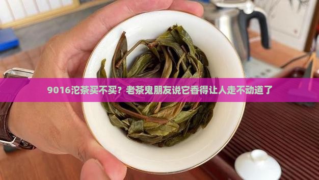 中茶9016沱茶