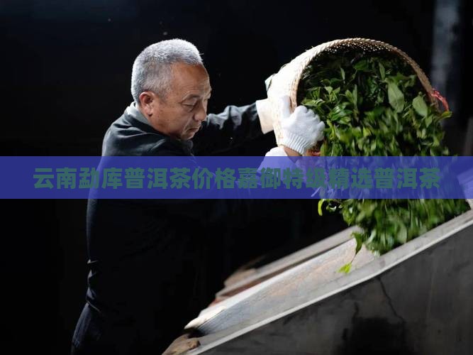 嘉御勐库普洱茶