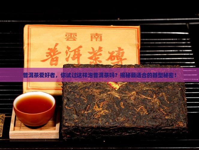 泡生普洱茶用什么器型