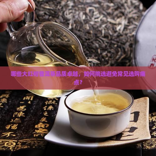 好的大红柑普洱茶有哪些 好的大红柑普洱茶有哪些