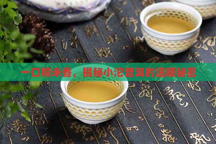 糯米小沱普洱茶