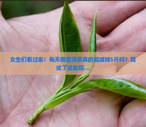 普洱茶如何喝减肥效果好