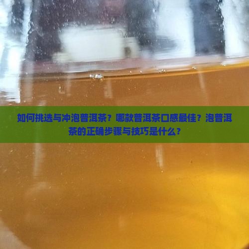 泡普洱茶哪种好喝