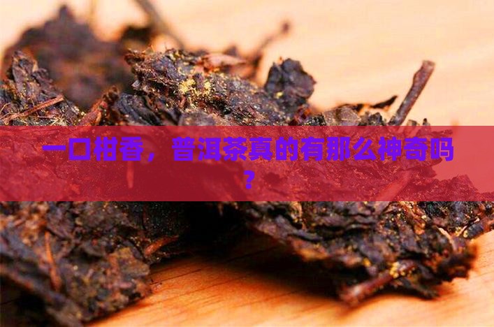 柑果普洱茶的功效