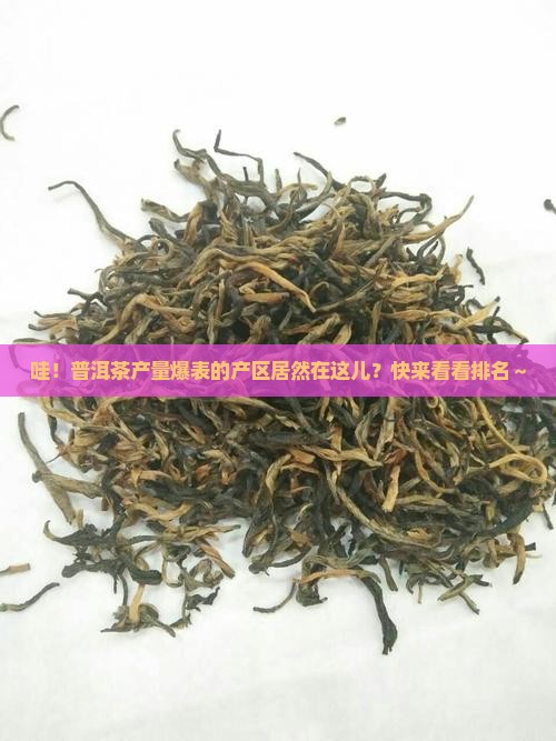 普洱茶产量最多的产区排名