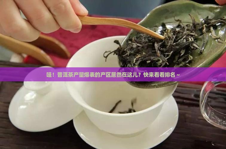 普洱茶产量最多的产区排名