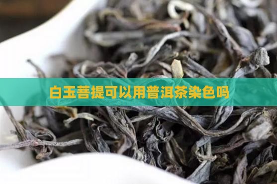 白玉菩提可以用普洱茶吗