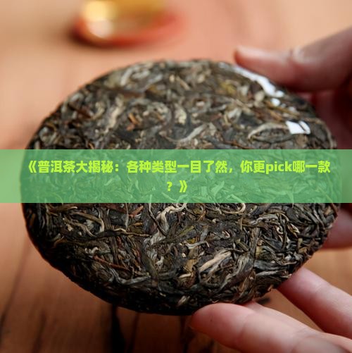 普洱茶种类对照表