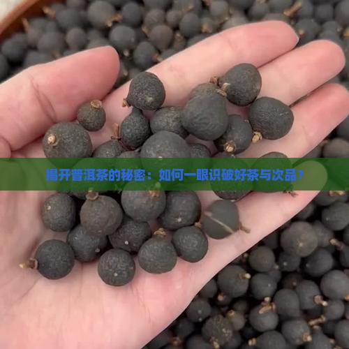 普洱茶怎么知道质量