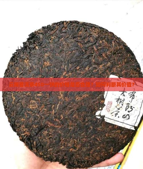 云南普洱茶450一饼贵么