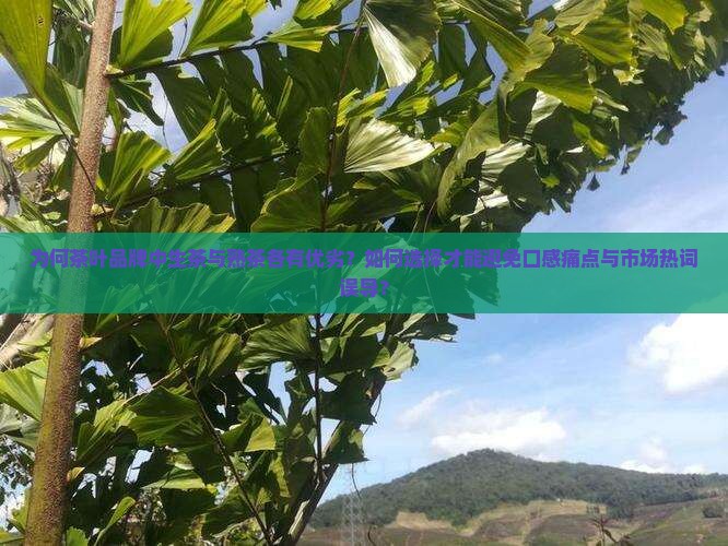 茶叶好的品牌生茶好还是熟茶好