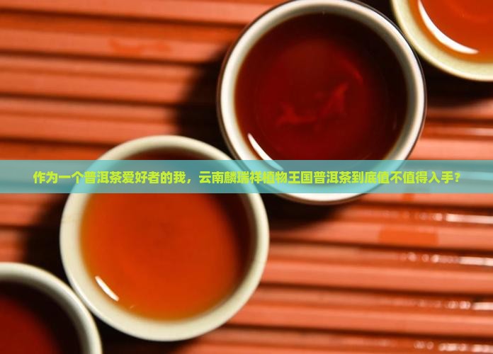 云南麟瑞祥植物王国普洱茶