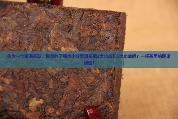 中小叶普洱茶特点和功效