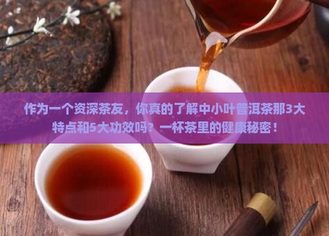 中小叶普洱茶特点和功效