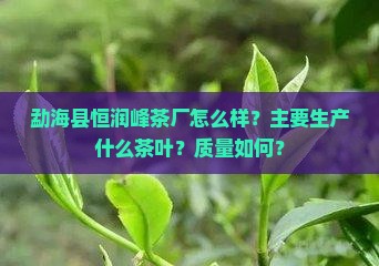 勐海县恒润峰茶厂