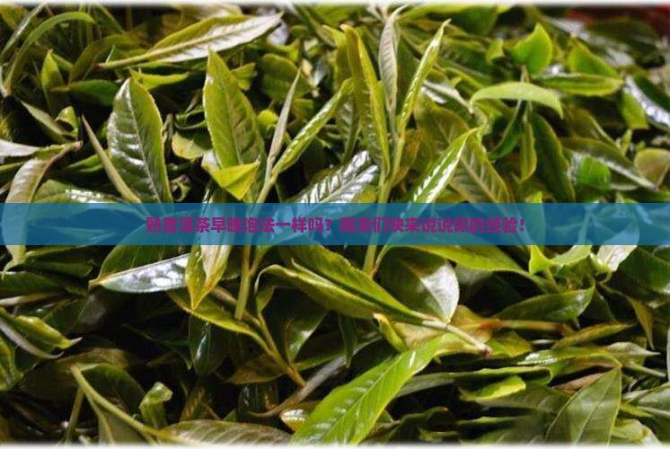 熟普洱茶早晚泡法一样吗