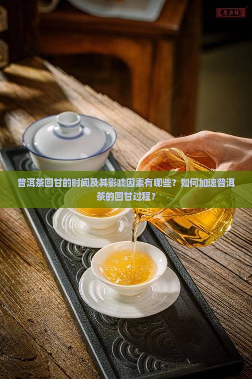 普洱茶多久才有回甘味儿
