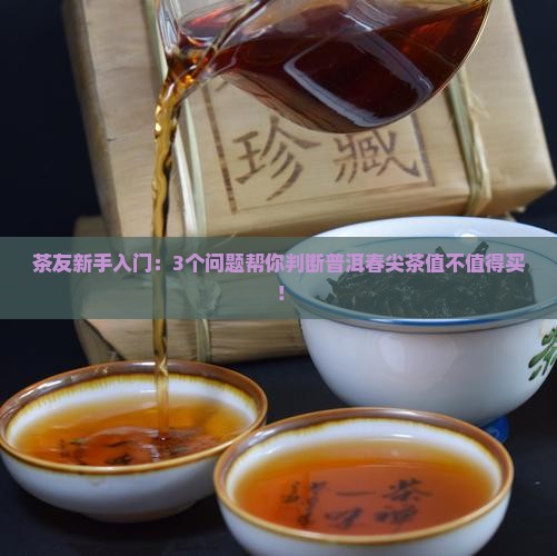 普洱春尖茶好不好