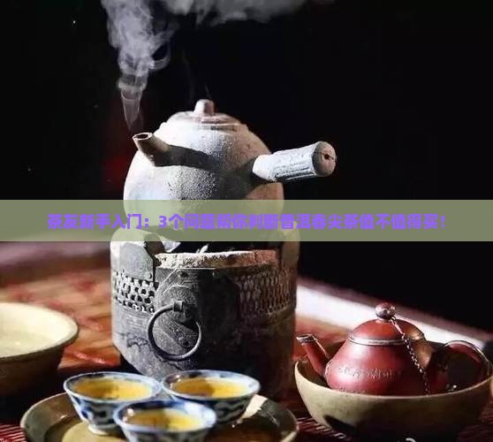 普洱春尖茶好不好