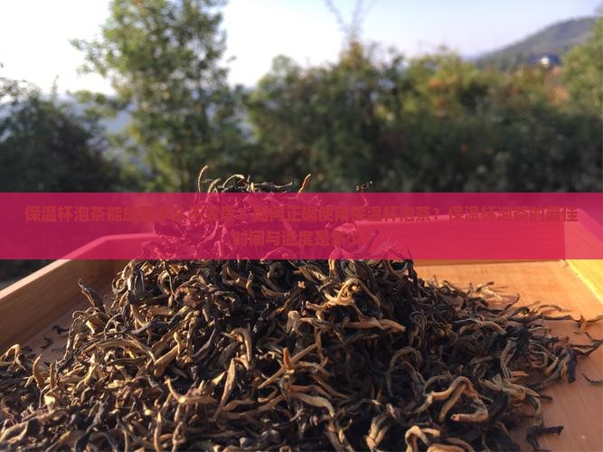 保温杯泡茶可以放多久