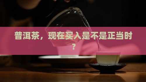 普洱茶还能入手吗