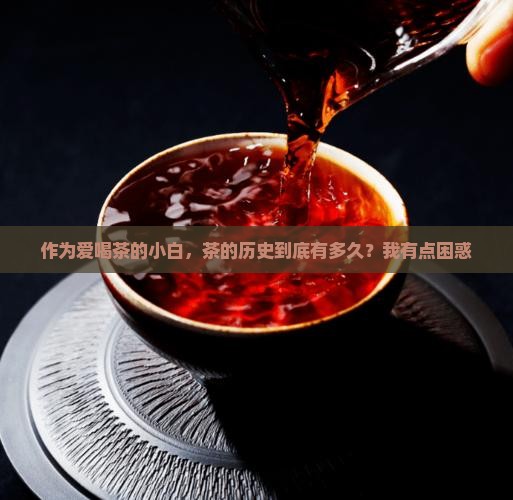 茶的历史有多久