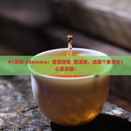 普洱芽茶喝普洱茶哪个好